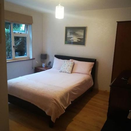 Cosy Apartment Holywood  Exterior photo